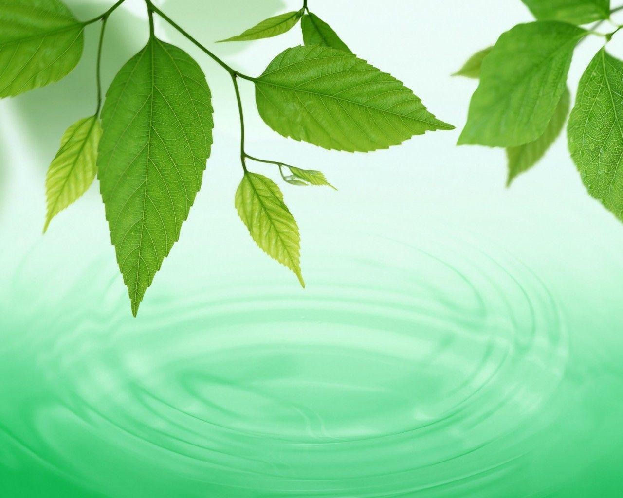 參歸潤燥擦劑，魚鱗皮膚病如何治療